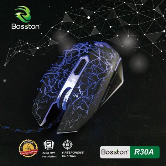 Boston R30A